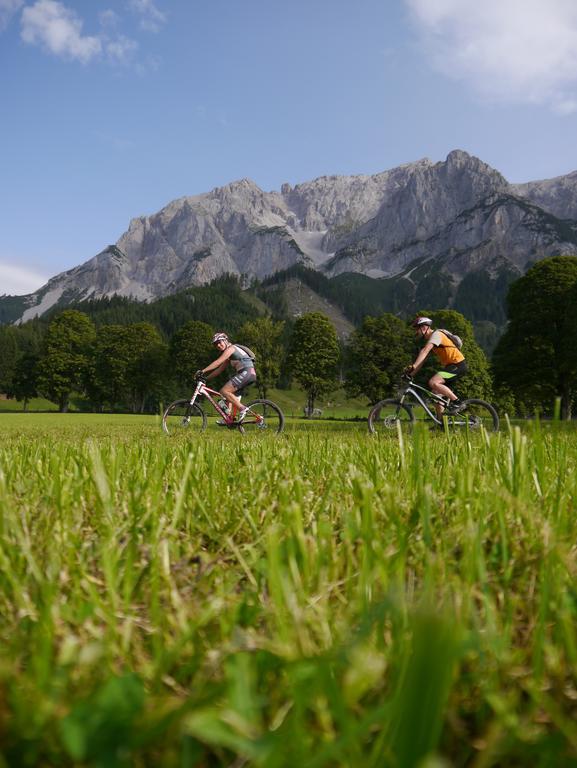 Austrian Alpine Apartments Ramsau am Dachstein Exteriör bild