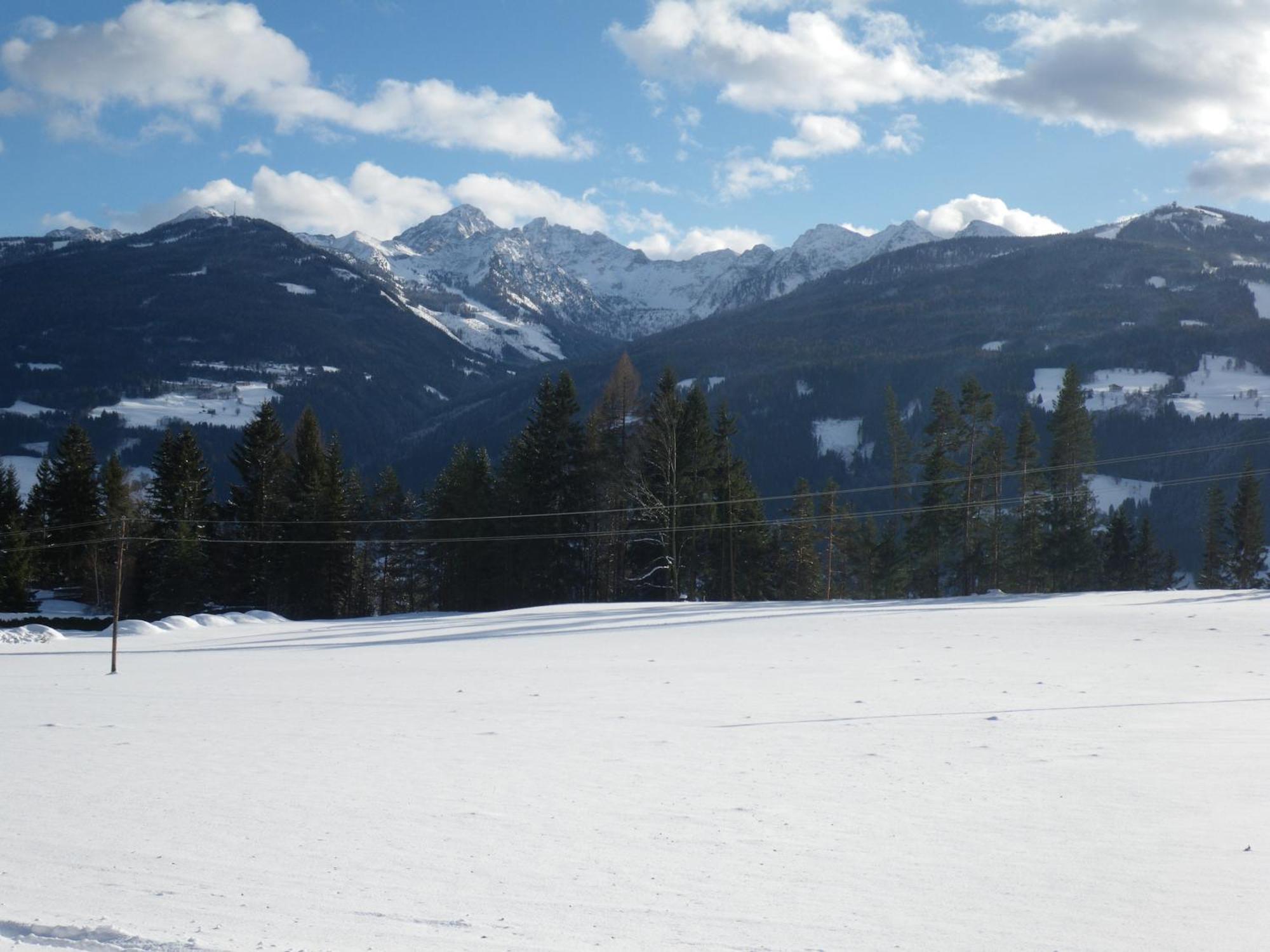 Austrian Alpine Apartments Ramsau am Dachstein Exteriör bild